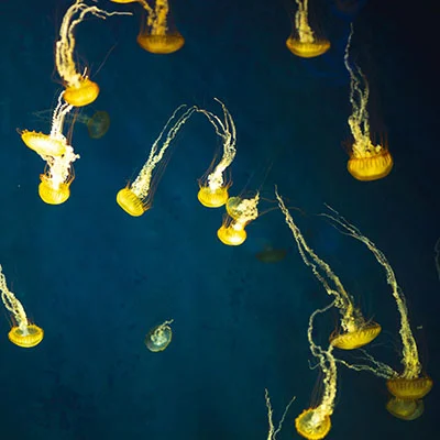 终极指南：彻底解决Clash代理工具不可用问题的全方位方案