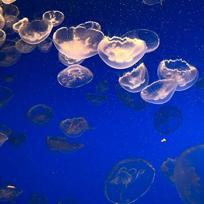 解锁网络世界：Clash配置失败的原因解析与实战解决指南